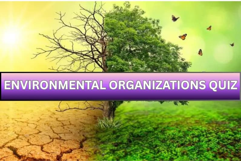 Environmental Organizations Quiz