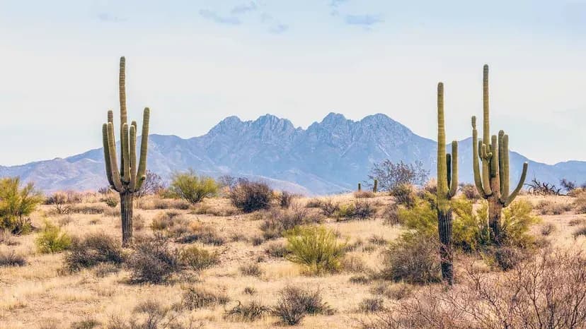 Deserts and Grasslands Quiz