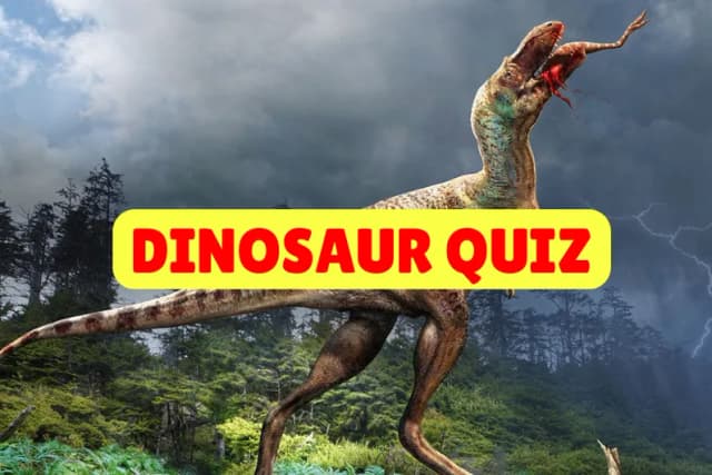 Dinosaur quiz
