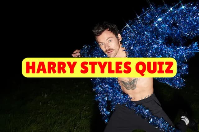Harry Styles Quiz