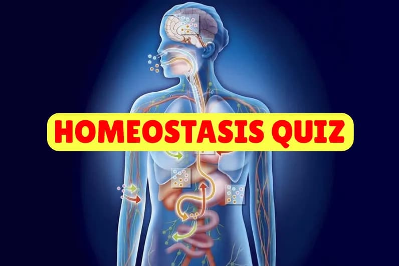 Homeostasis Quiz