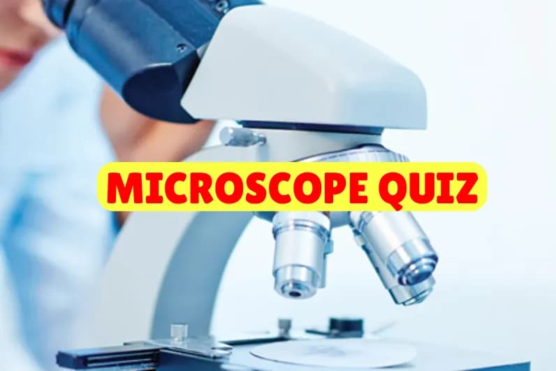 Microscope Quiz