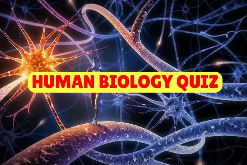 Human Biology Quiz
