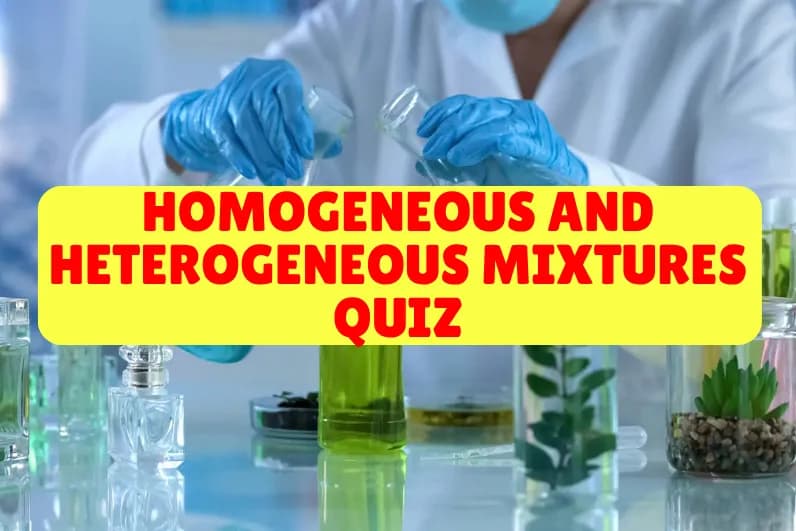 Homogeneous and Heterogeneous Mixtures Quiz